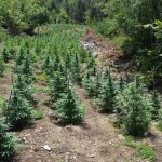 Φώτο 1 από 6 ΤΑ Έδεσσας