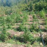 Φώτο 3 από 6 ΤΑ Έδεσσας