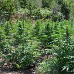 Φώτο 4 από 6 ΤΑ Έδεσσας