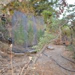 01.08.2024_ΦΥΤΕΙΑ ΧΕΡΣΟΝΗΣΟΣ (2)