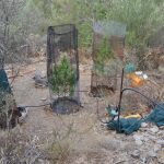 01.08.2024_ΦΥΤΕΙΑ ΧΕΡΣΟΝΗΣΟΣ (5)