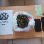 01082024ionianark (1)