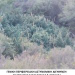 29092024 nark kavala (2)