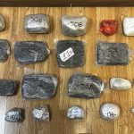 08112024 dt aea narkotika (2)