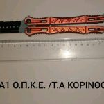 8.11.2024 peloponnisos-ektetameni epixeirhsh