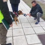 04122024gadthdesp (1)
