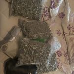 17122024daoeekbiastwn004