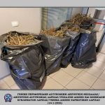 1-ΦΩΤΟ