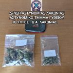 16.1.2025 peloponnisos-epixeiriseis