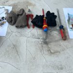 25012025diarrhksi (2)