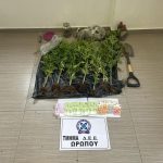 05022025 kanavi gada