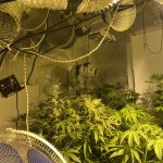 11022025pelopnark (3)