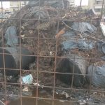 2025-02-04 ΦΩΤΟ 2