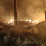 2025-02-04 ΦΩΤΟ 3