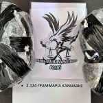 KATASXESH KANNABHS RODOS F