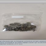 Φωτογραφία