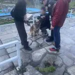 2025-04-03 ΦΩΤΟ 1