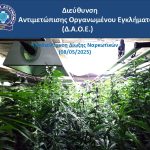 08052025ydn2