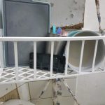 20052025 photo 4
