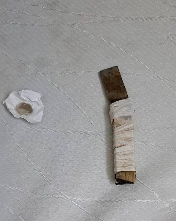 Κορυδαλλός: Ειδική αστυνομική επιχείρηση στις φυλακές – Βρέθηκαν μαχαίρια, κινητά και μικροποσότητα ναρκωτικών