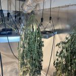 ΦΩΤΟ 2.