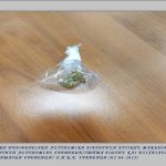 02062025narkdytmak (1)