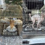 19062025emporiazwwn(1)