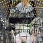 19062025emporiazwwn(2)