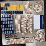 24062025 dt aea photo1