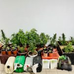 28-06-2025 Ναρκωτικά Λέσβος