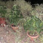 28-06-2025 Ναρκωτικά Λέσβος (2)