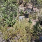 28-06-2025 Ναρκωτικά Λέσβος (3)