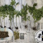 Κατάσχεση ΤΔΕΕ Κιλκίς