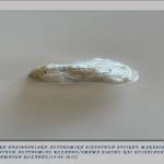 Φωτογραφία
