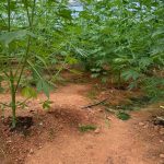 24072025krhthfyteia (1)