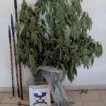 Φωτογραφία