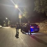 24082025gadailion3