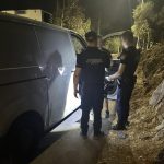 24082025gadailion4