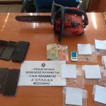 5.8.2025 argolida-arkadia-messinia-astynomikes epixeirhseis