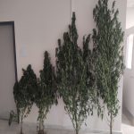 1η ΦΩΤΟΓΡΑΦΙΑ