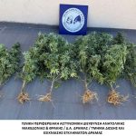 23092025amtnark