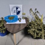 Κατάσχεση ΤΔΕΕ Βέροιας 1η περίπτωση