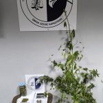 Κατάσχεση ΤΔΕΕ Βέροιας 2η περίπτωση