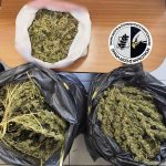 Κατάσχεση κάνναβης ΤΔΕΕ Κιλκίς