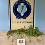 ΦΩΤΟΓΡΑΦΙΑ