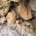07112025 photo 6