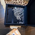 14112025 ydoe apates 4