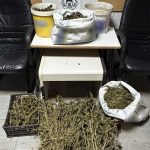 Κατάσχεση κάνναβης ΤΔΕΕ Πέλλας