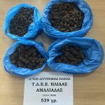 16-01-2026 Συνελήφθη άνδρας για διακίνηση ναρκωτικών στην Ηλεία