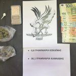 ΝΑΡΚΩΤΙΚΑ ΡΟΔΟΣ